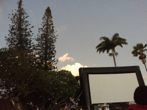 image39