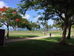 image8