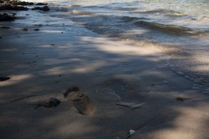 IMG_6614