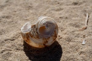 IMG_6680