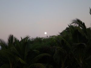 RIMG0263