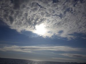 1B70107D-427E-4B2E-B360-893022CDFA75