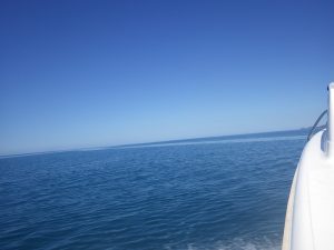 A5E02997-01E0-41E4-A672-879EE358D282