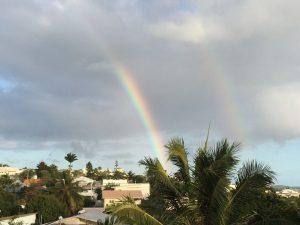 image31