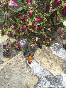 image32