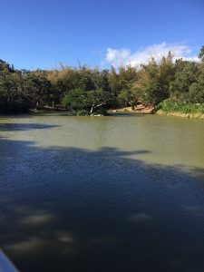 image38