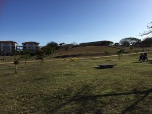 image6